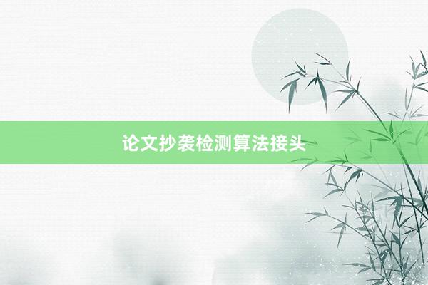 论文抄袭检测算法接头