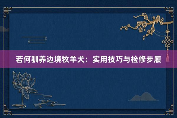 若何驯养边境牧羊犬：实用技巧与检修步履
