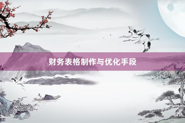 财务表格制作与优化手段